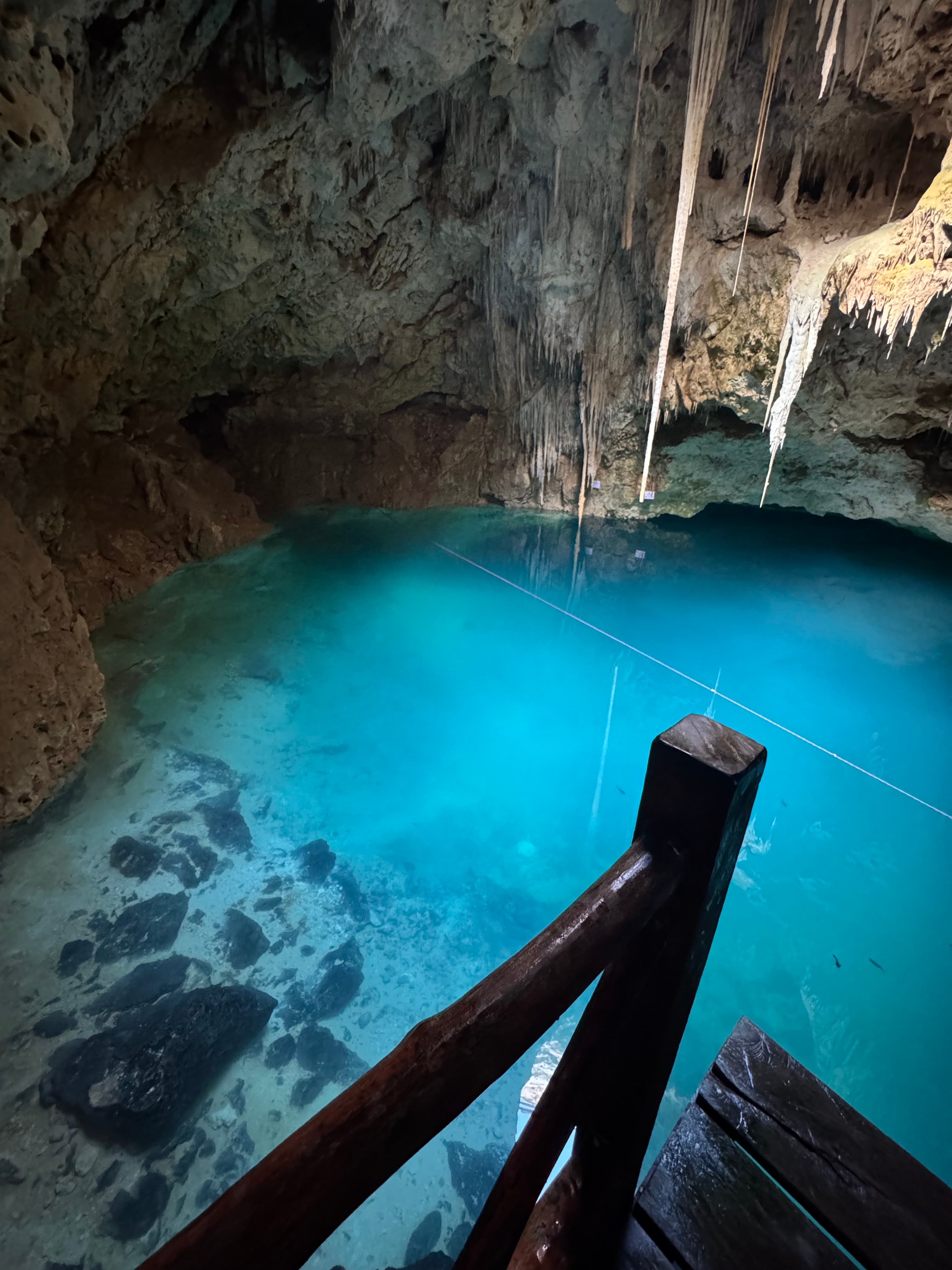 Grupo Xcaret