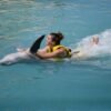 FINTASTIC DOLPHINARIS - Image 5