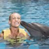 FINTASTIC DOLPHINARIS - Image 4