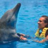 FINTASTIC DOLPHINARIS - Image 2