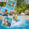 FINTASTIC DOLPHINARIS
